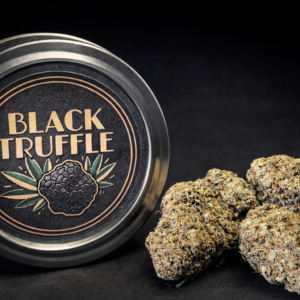 black truffle