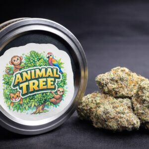 cd570502 321b 4ba9 a823 801cbc93306c